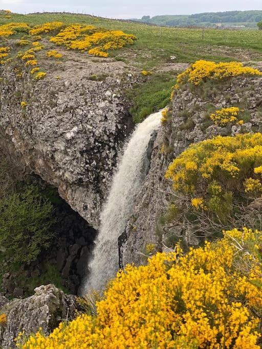 Buron Coeur D'Aubrac Βίλα Marchastel  Εξωτερικό φωτογραφία